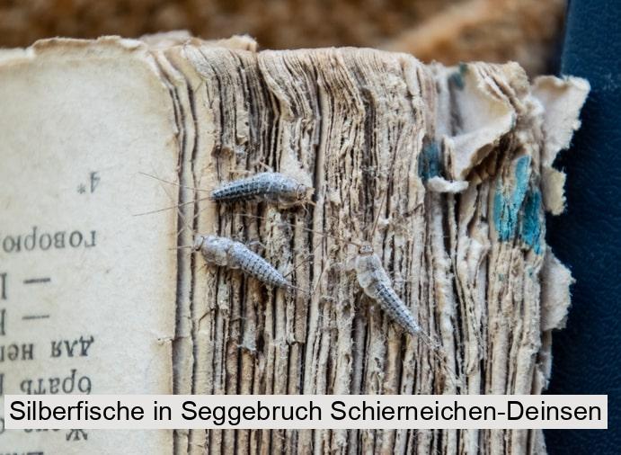 Silberfische in Seggebruch Schierneichen-Deinsen